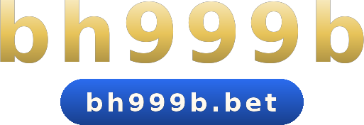bh999b logo